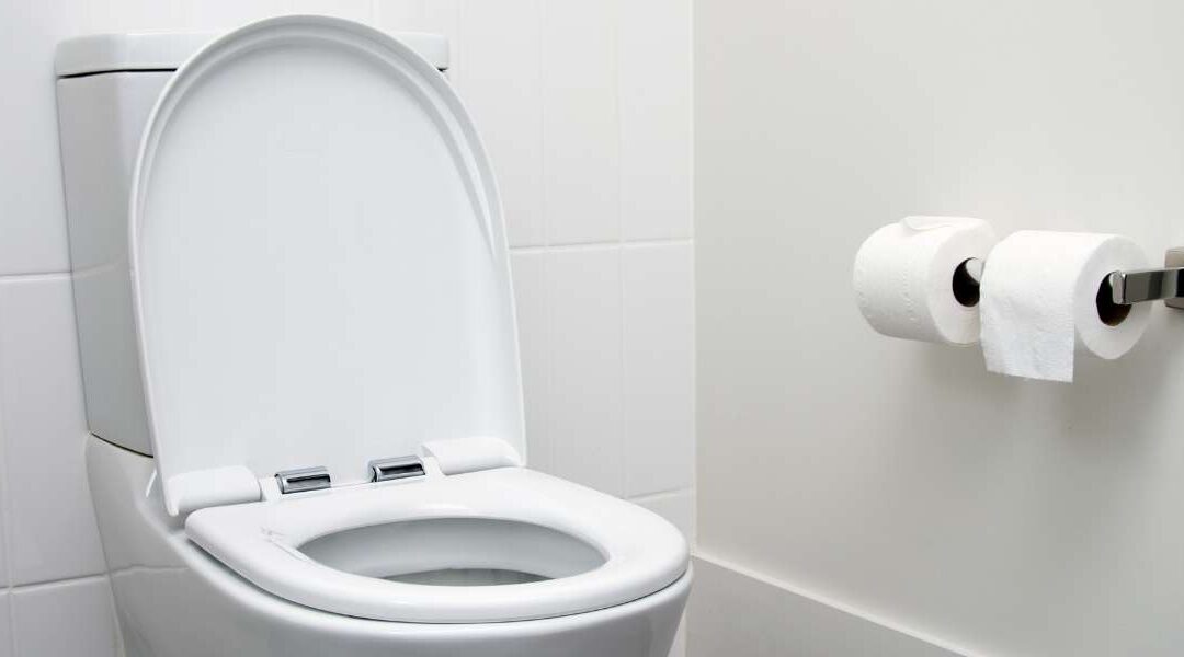 Bloc WC longue durée
