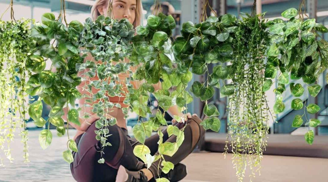 Plante artificielle tombante