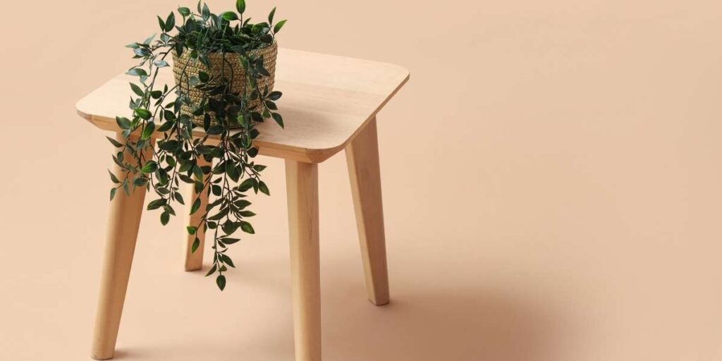 la Plante artificielle tombante
